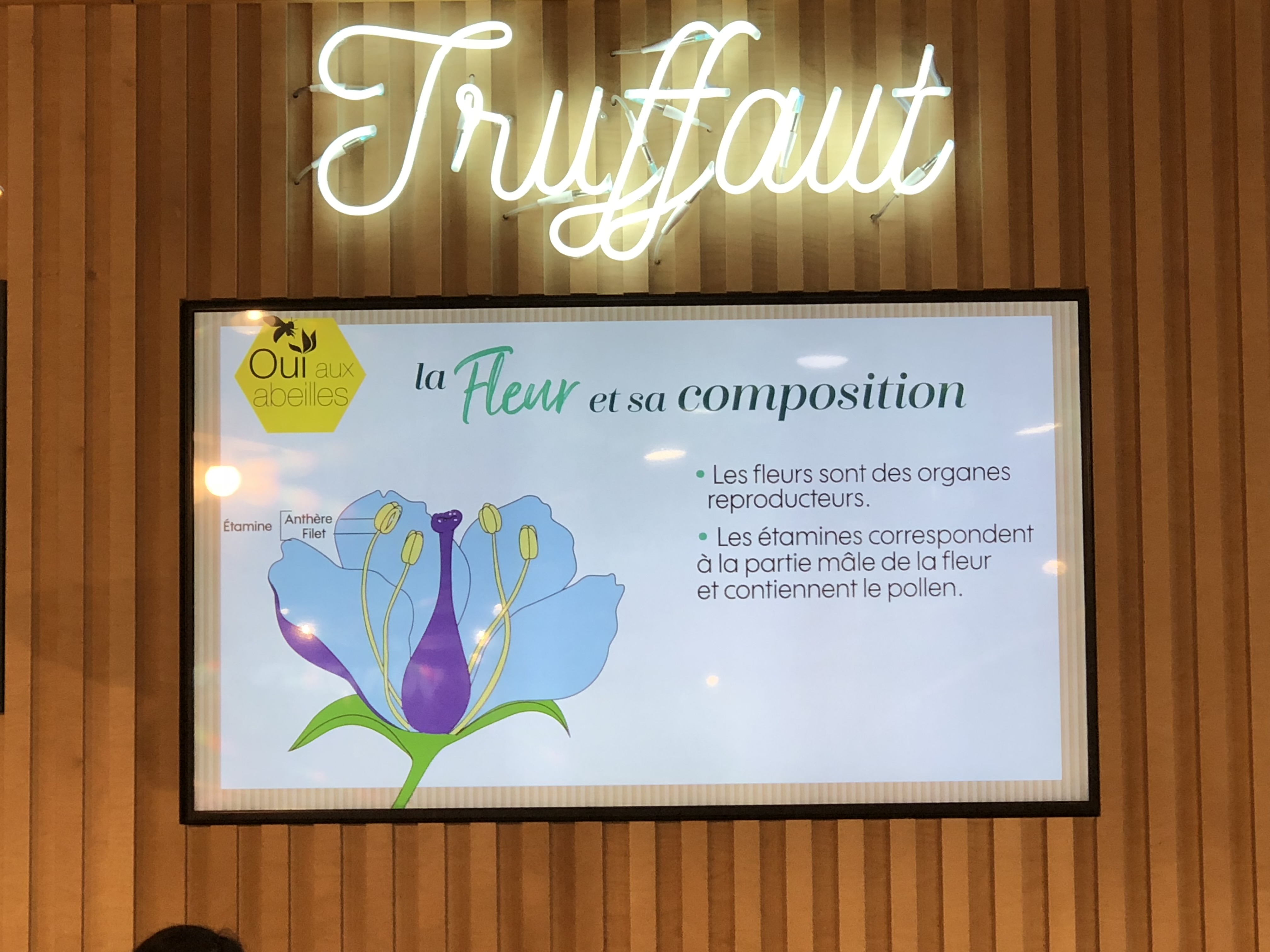 Écran in-store Truffaut